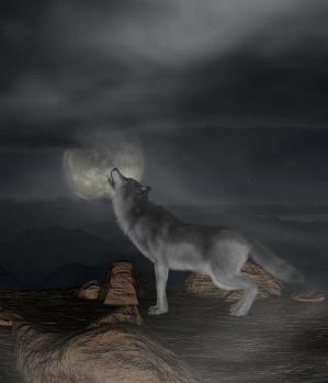 Loup y es tu_resize.jpg